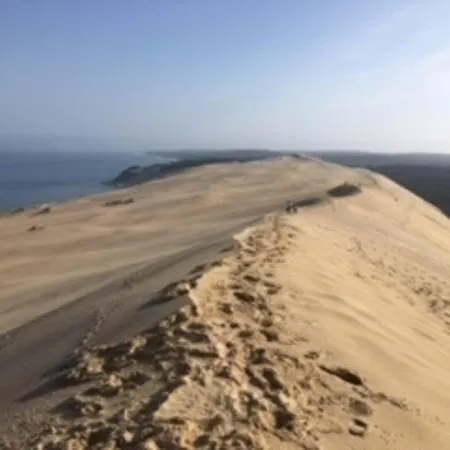 شقة T2 Avec Terrasse, Wifi Et Parking Au Centre-ville D'arcachon - Fr-1-374-188